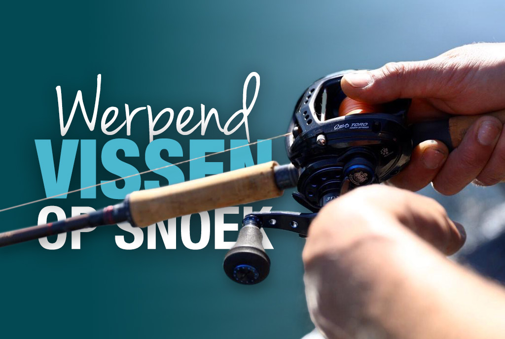 Werpend vissen op snoek Werpend vissen op snoek