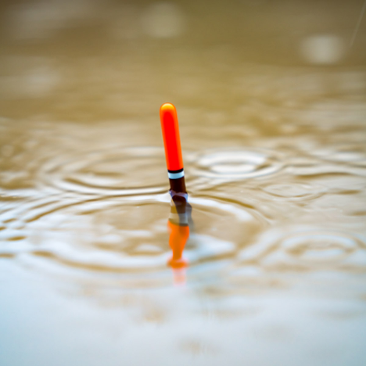 Korum Classic Donaldson Float