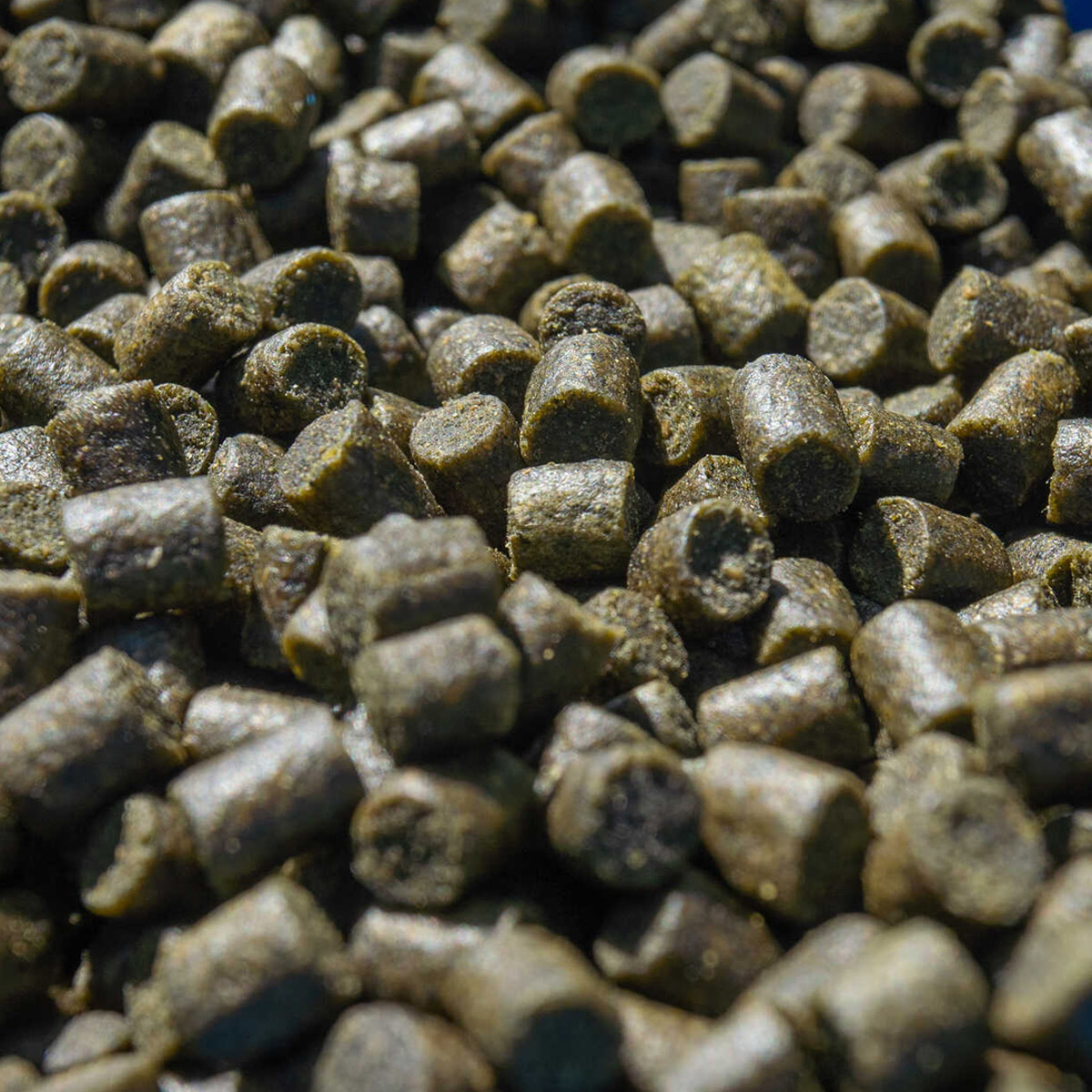 Sonubaits Marine Green Feed Pellets