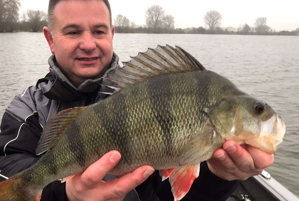 Baarzen vangen met een Ned rig Baarzen vangen met een Ned rig