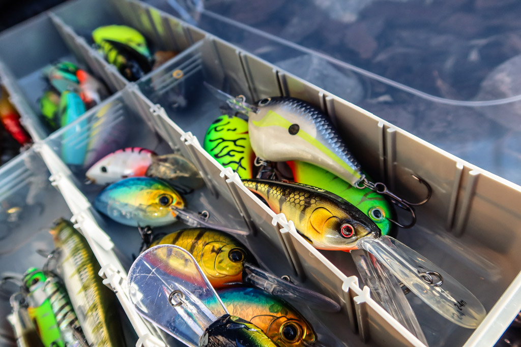 Welke crankbaits gebruik je voor deze visserij Welke crankbaits gebruik je voor deze visserij