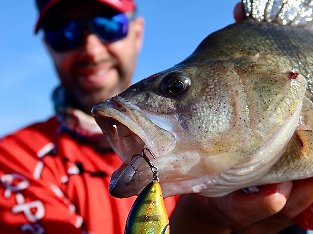 Het vissen met crankbaits is leuk. Het vissen met crankbaits is leuk.