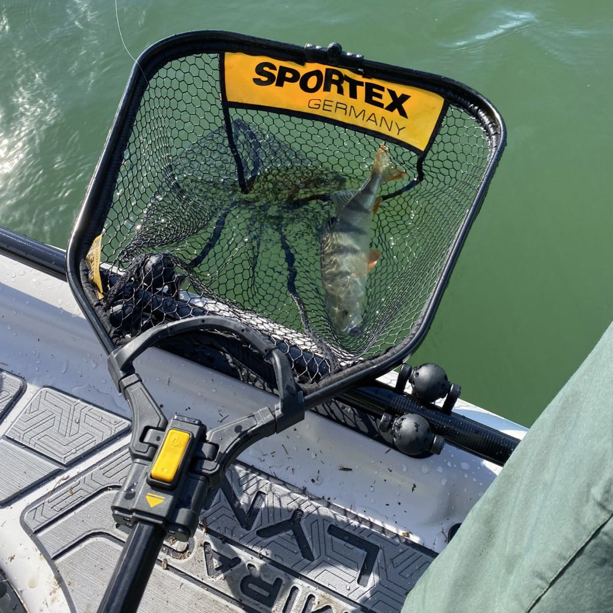 Sportex Predator Landing Net 60x50 CM