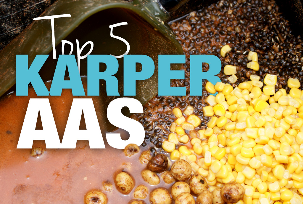 Top 5 karperaas Top 5 karperaas