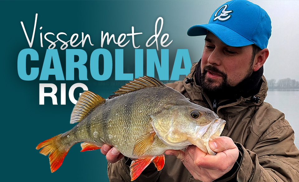 De Carolina Rig De Carolina Rig