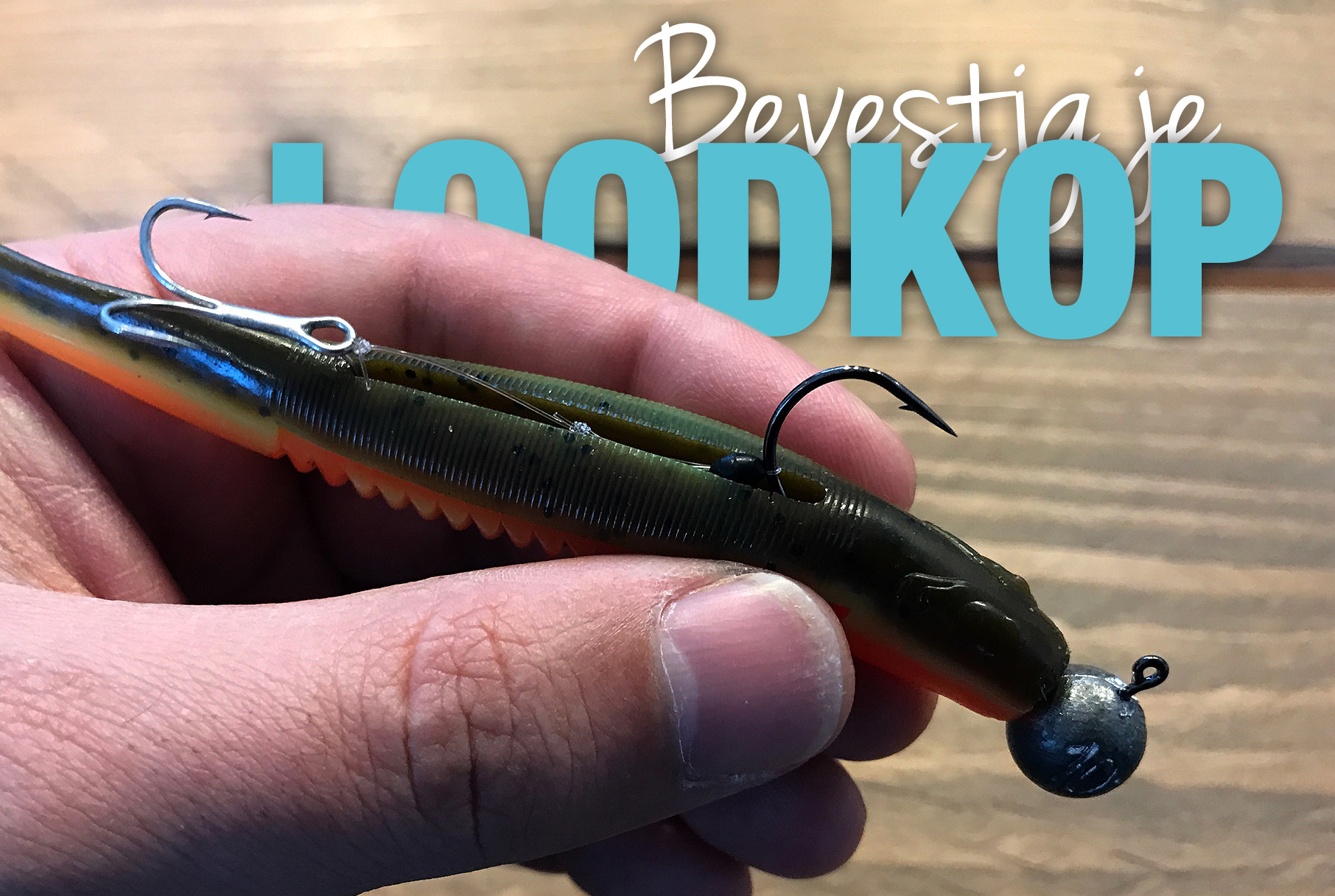 Hoe bevestig je een loodkop in een shad Hoe bevestig je een loodkop in een shad