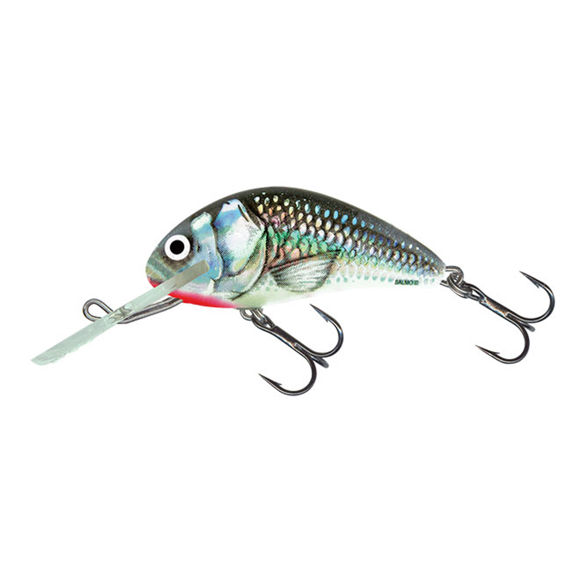 Salmo Hornet Sinking 6 CM