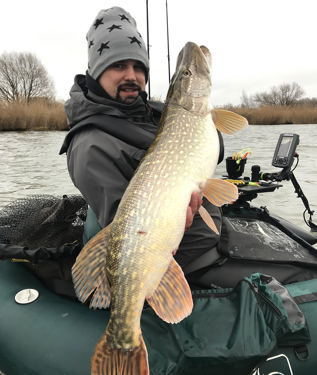 Een pelagisch gevangen metersnoek vanuit de bellyboat Een pelagisch gevangen metersnoek vanuit de bellyboat