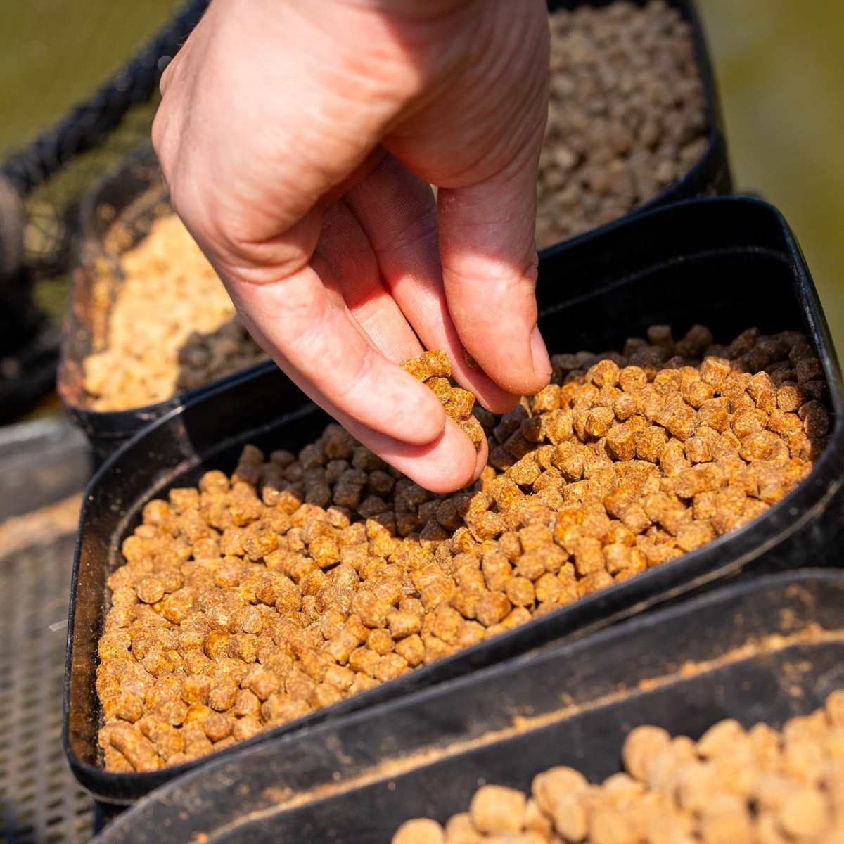 Mainline Match SK6 Pellets 1 KG 6MM 