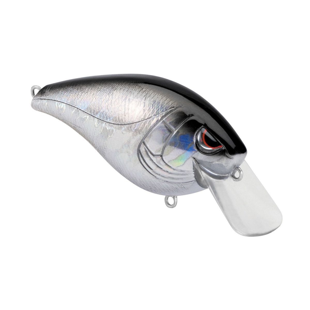 Closer Look at the Spro Essential Hunter 65 Squarebill Crankbait