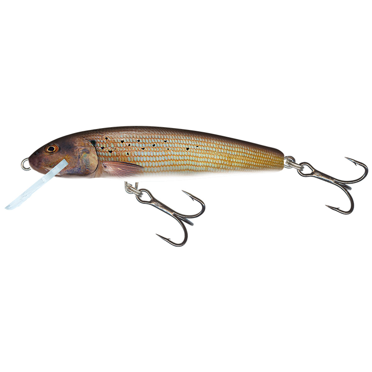 Salmo Minnow Floating 6 CM  -  Grayling