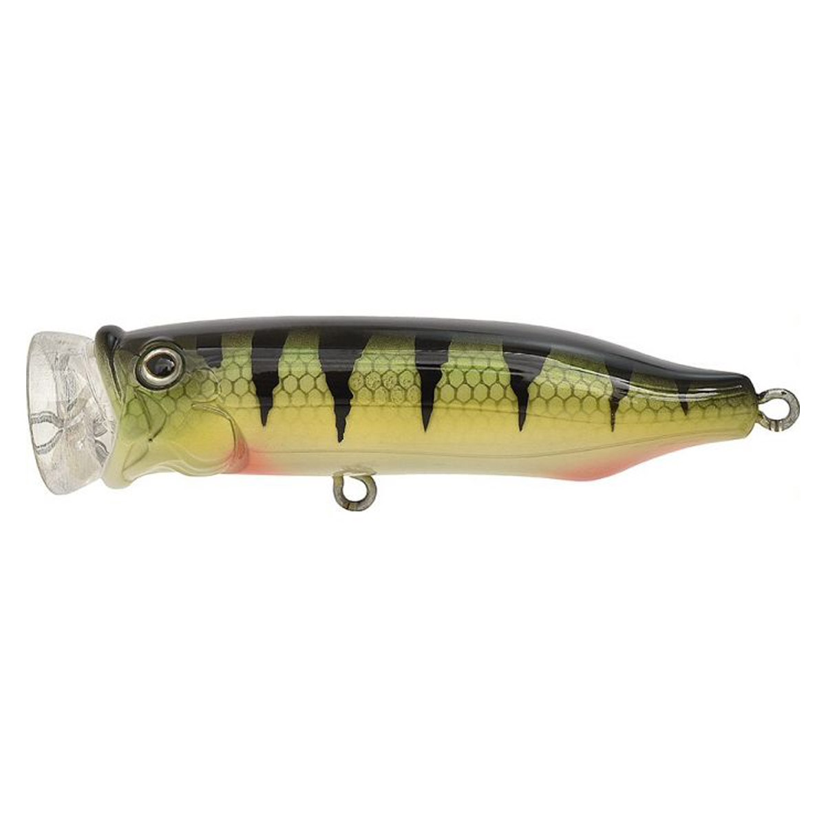 Tackle House Feed Popper 7 CM -  Perch