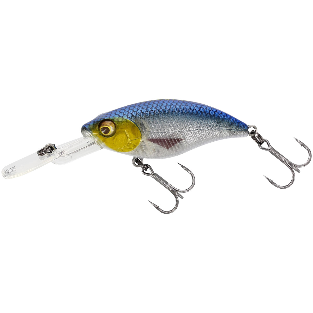 Westin BuzzBite Crankbait 6 CM Limited