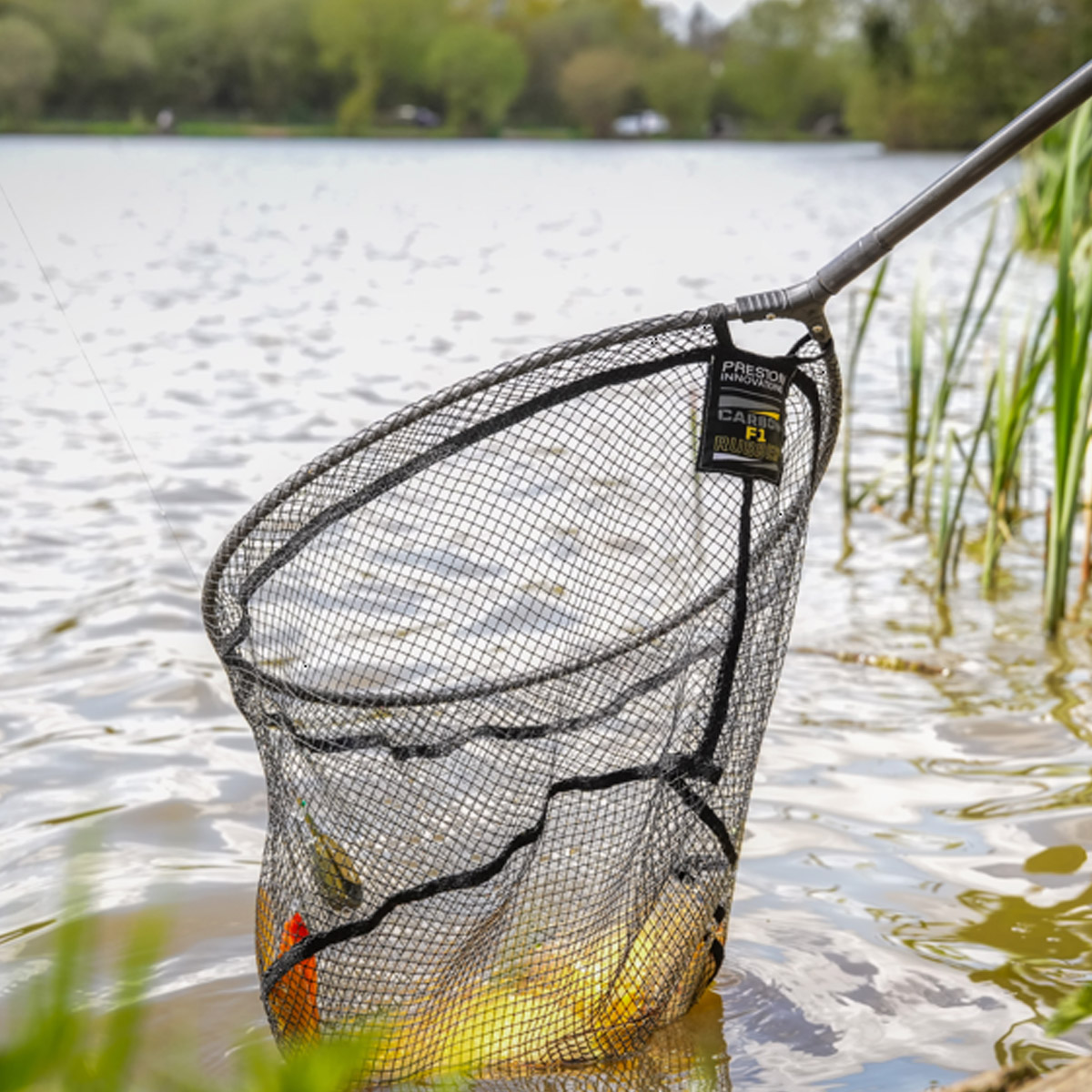 Preston Innovations Carbon F1 Latex Landing Net 18"