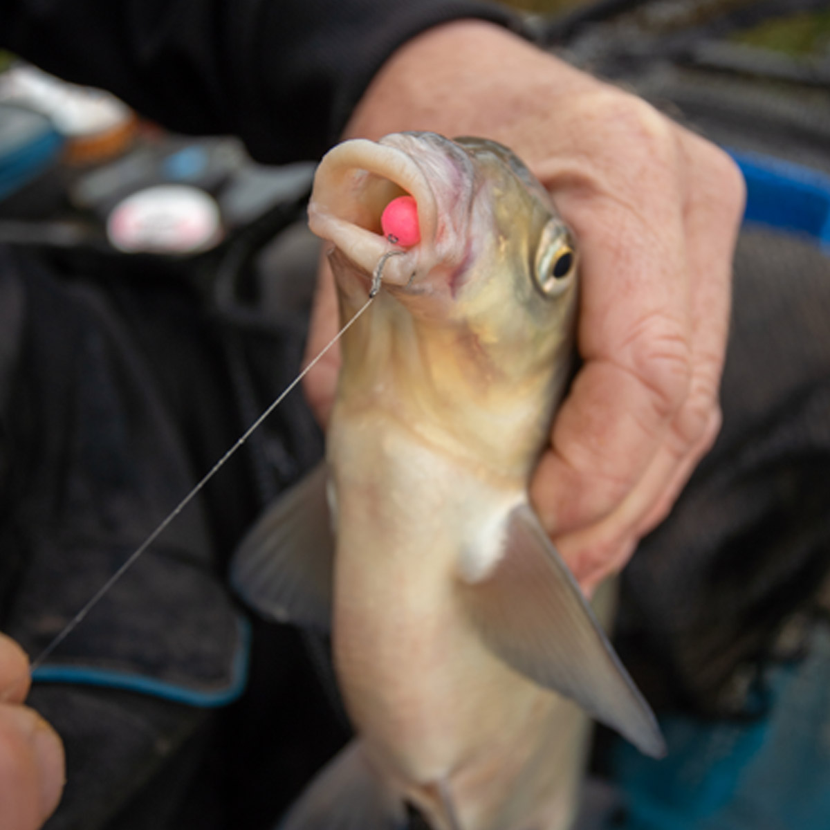 Sonubaits Spike'um Wafter Pineapple & Coconut