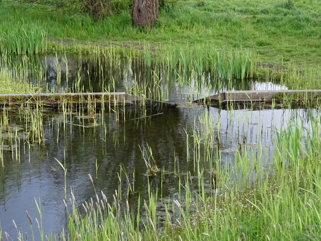 Paaiplekken van snoeken, snoekbaarzen en baarzen Paaiplekken van snoeken, snoekbaarzen en baarzen