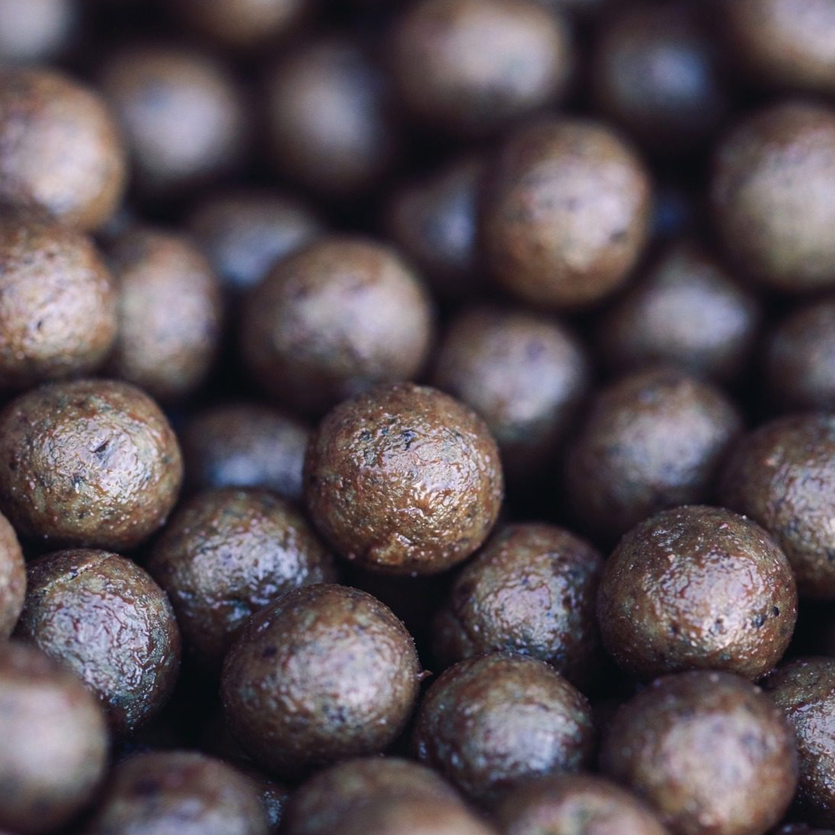 Mainline Shelf Life Boilies ISO Fish 5 KG