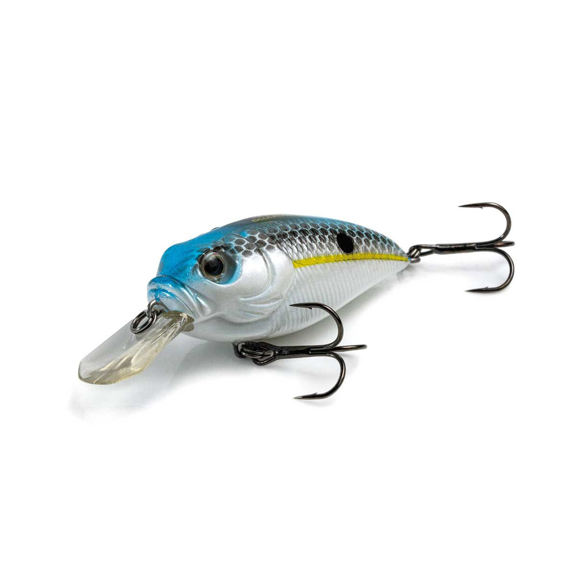Molix Sculpo MR Rattlin Molix Sculpo MR Rattlin