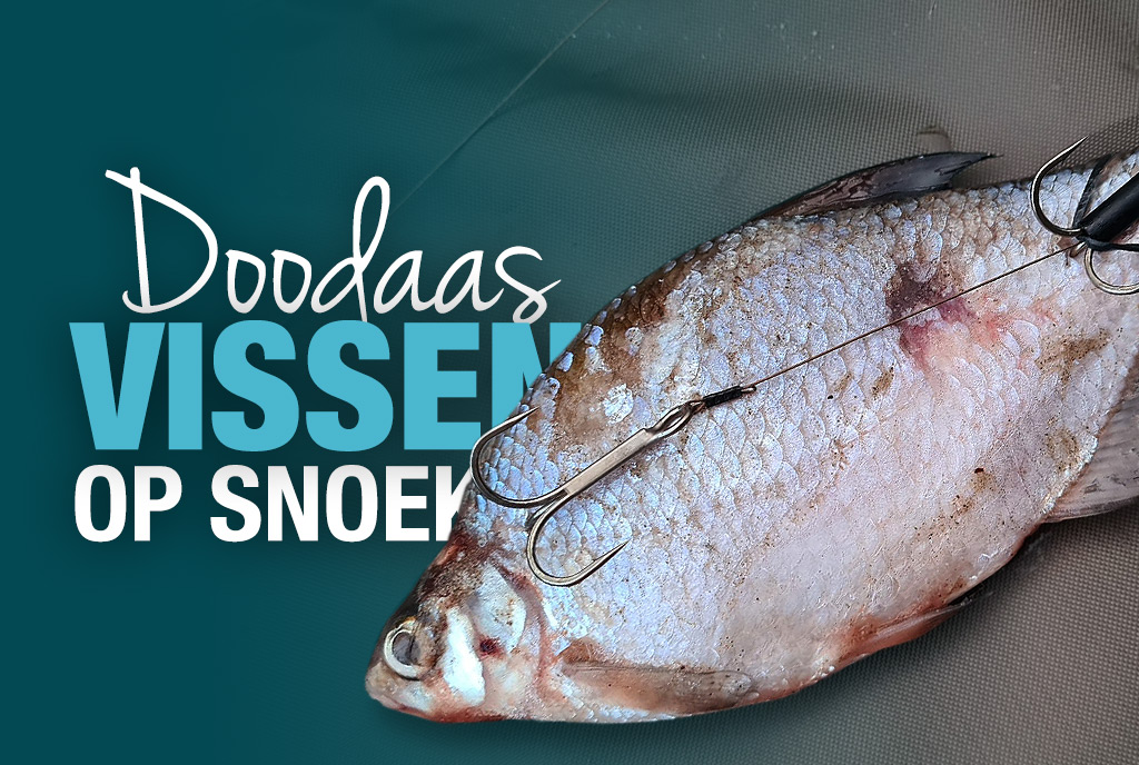 Doodaas vissen op snoek Doodaas vissen op snoek