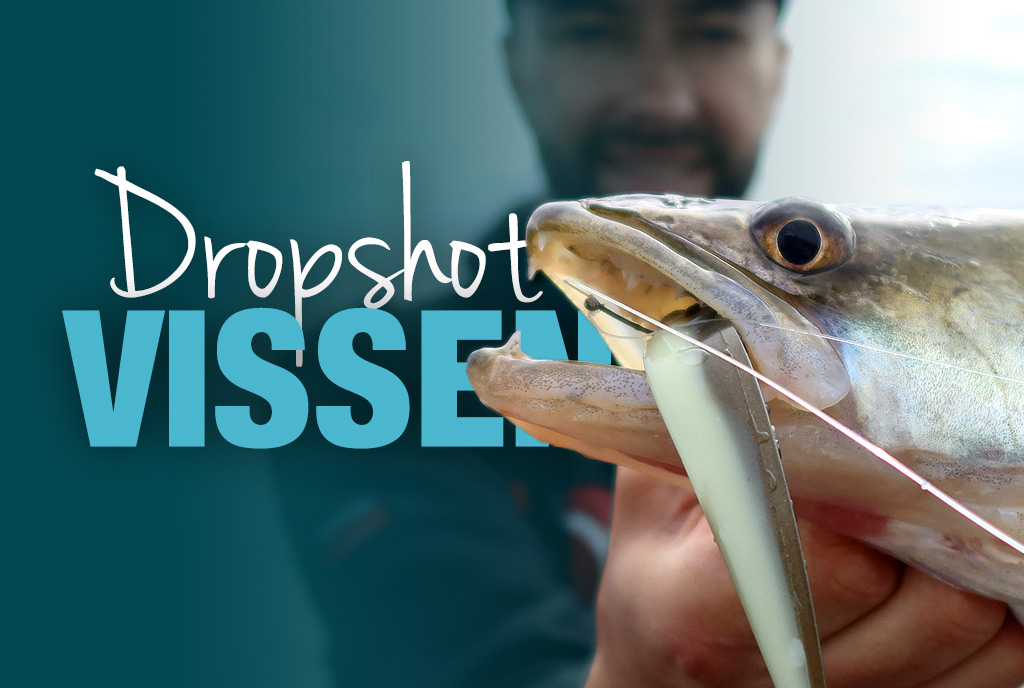 Vissen met een dropshot Vissen met een dropshot