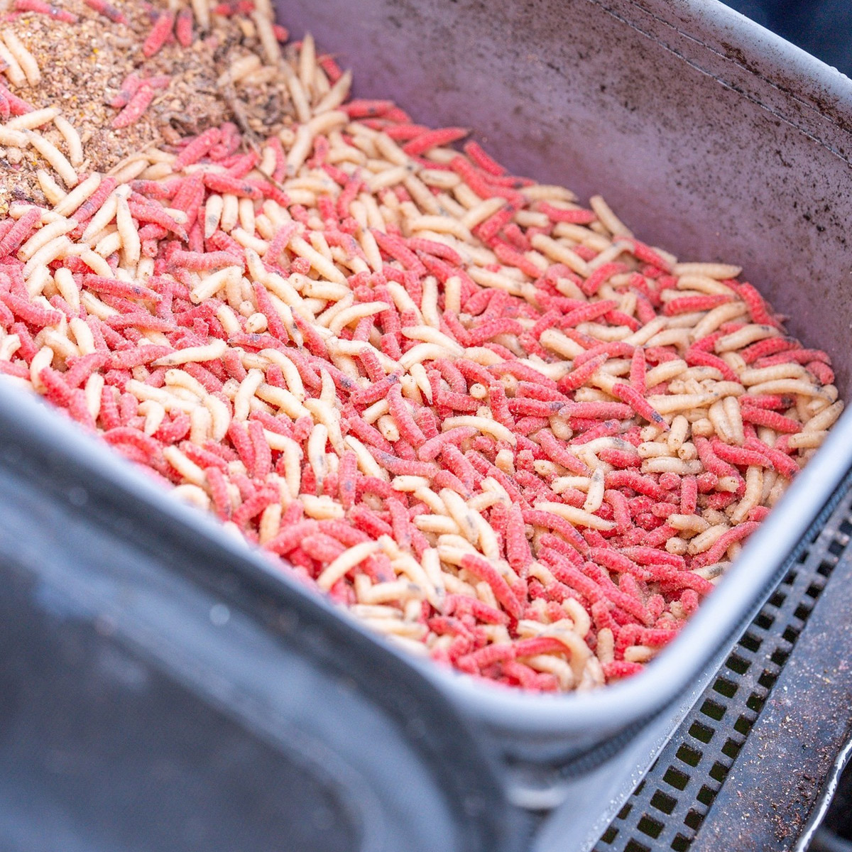 Guru Fusion Ventilator Combo 3