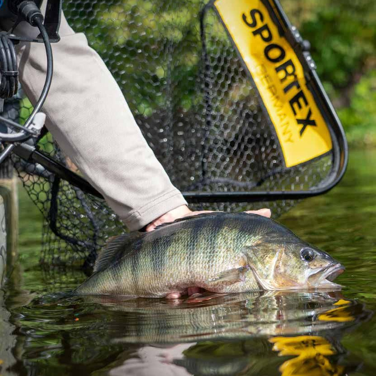 Sportex Predator Landing Net 70x60 CM