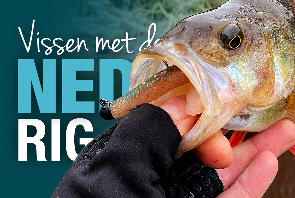 Vissen met de Ned rig Vissen met de Ned rig