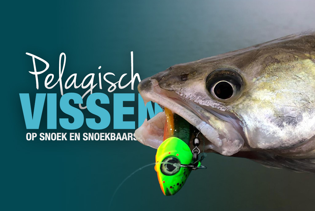 Pelagisch vissen op snoek en snoekbaars