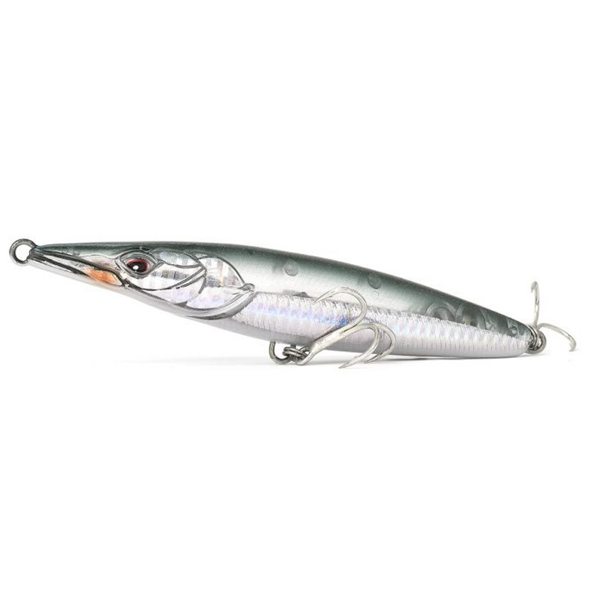 Xorus Asturie 110 Xorus Asturie 110