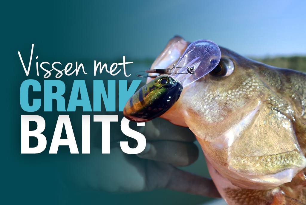 Vissen met crankbaits Vissen met crankbaits