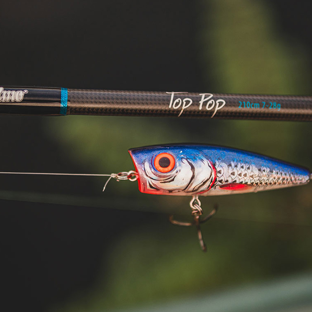 Salmo Top Pop Rod