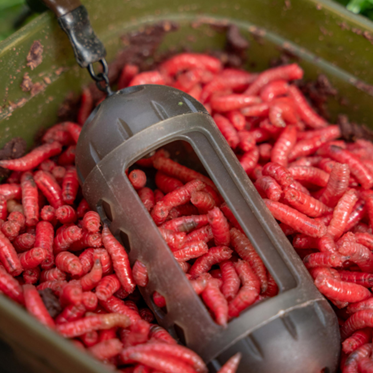 Korum Window Maggot Feeder Medium