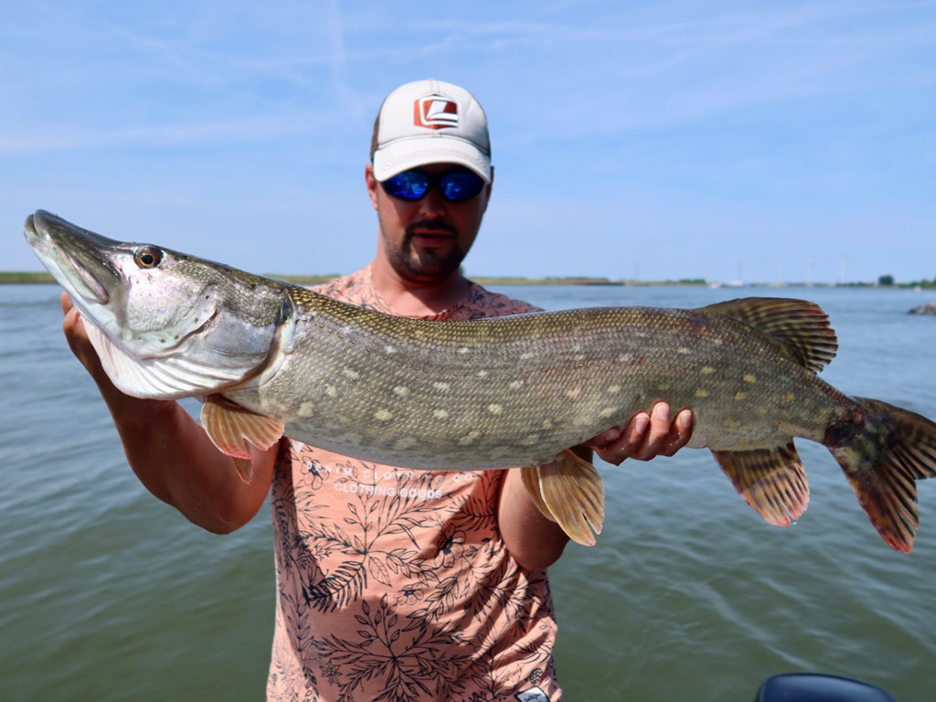Snoeken vangen met Crankbaits Snoeken vangen met Crankbaits