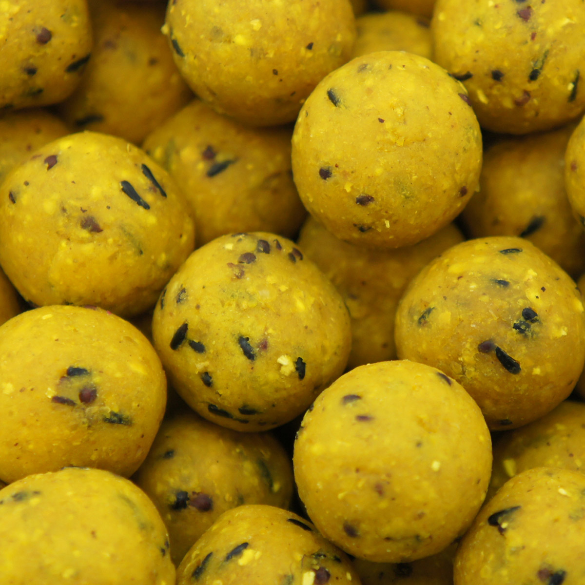 Martin SB Boilies 2,5 kg 20 mm Scopex